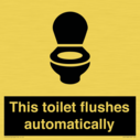 this-toilet-flushes-automatically~
